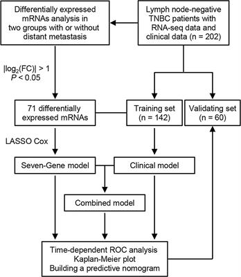 A Novel Seven Gene Signature-Based Prognostic Model to Predict Distant Metastasis of Lymph Node-Negative Triple-Negative Breast Cancer